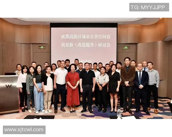 成都极限运动队的区域防守策略与热点分析探讨